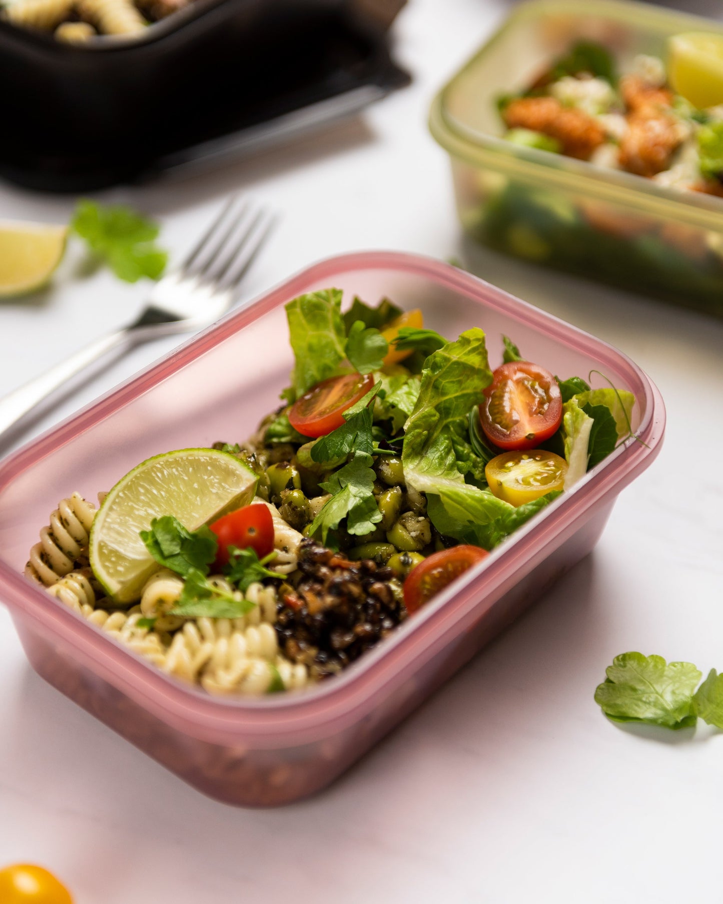 food-storage-container-deep-rose-j6 Smartshake_Food_Storage_Container_Deep_Rose_Lifestyle.jpg